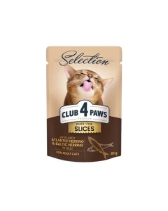 Club 4 Paws Selection Adult Slices Herring Jelly 80gr