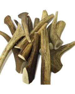 Antler Small Κόκαλο Κέρατο 50gr-70gr (1τμχ)