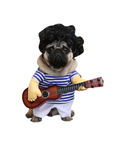 Pet Αποκριάτικη Στολή Μουσικός L 34cm