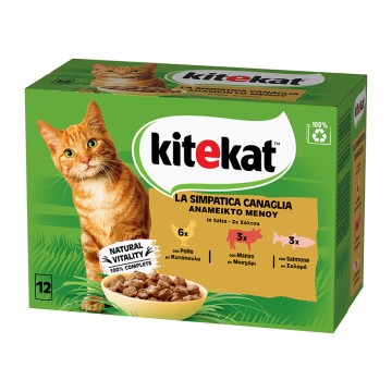 Kitekat Ανάμεικτες Γεύσεις σε Σάλτσα 12x85gr