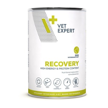 Vet Expert Recovery Dog 400g