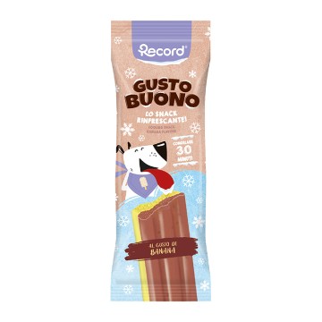 Record Gusto Buono Παγωτό Σκύλου Βερίκοκο & Πάπια 50gr