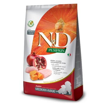 N&D Pumpkin Dog Puppy Medium-Maxi με Κοτόπουλο, Κολοκύθα & Ρόδι 12kg