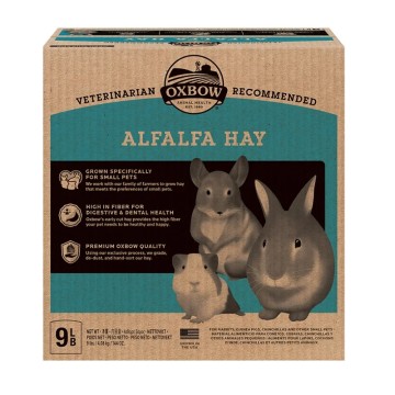 Oxbow Χόρτο Alfalfa Hay 4kg
