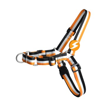 Dashi Σαμαράκι Σκύλου Stripes Orange & Black L 38-49cm