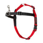 Halti Front Control Harness Εκπαιδευτικό Σαμαράκι S