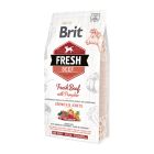 Brit Fresh Beef Dog Junior Large Growth & Joints 2.5kg