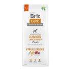 Brit Care Hypoallergenic Dog Junior Large Lamb & Rice 12kg