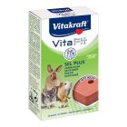 Vitakraft Vita Fit Sel Plus Πέτρα Αλατιού με Στήριγμα 40gr