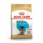 Royal Canin German Shepherd Puppy 3kg