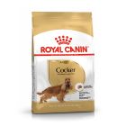 Royal Canin Cocker Adult 12kg