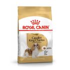 Royal Canin Cavalier King Charles Adult 1.5 kg