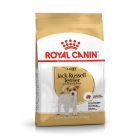 Royal Canin Jack Russell Terrier Adult 1.5kg
