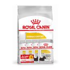 Royal Canin Mini Dermacomfort 3kg +4x85gr Δώρο