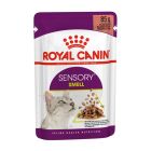 Royal Canin Sensory Smell σε Σάλτσα 85gr