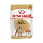 Royal Canin Poodle Adult 85gr