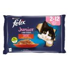 Felix Junior Βοδινό & Κοτόπουλο σε Ζελέ 4x85gr