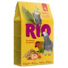 Rio Eggfood για Μεσαίους & Μεγάλους Παπαγάλους 250gr