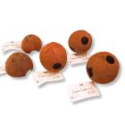 JBL Cocos Cava 1/2 L