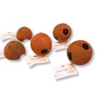 JBL Cocos Cava 1/2 M