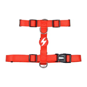 Dashi Σαμαράκι Σκύλου Back Κόκκινο L 62-107cm