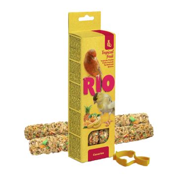 Rio Sticks με Εξωτικά Φρούτα για Καναρίνια 2x40gr