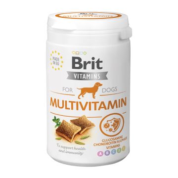 Brit Vitamins Multivitamin 150gr
