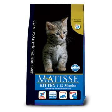 Matisse Cat Kitten με Κοτόπουλο 10kg