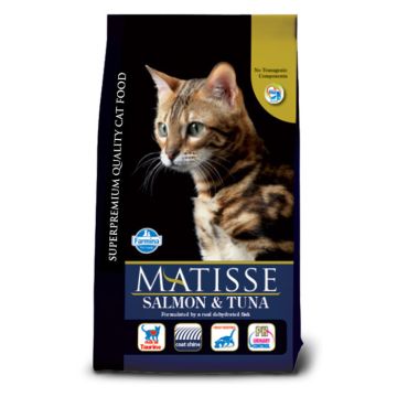 Matisse Cat Adult με Σολομό & Τόνο 1.5kg