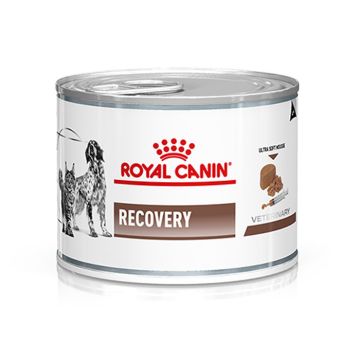 Royal Canin Cat & Dog Recovery 195gr