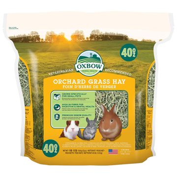Oxbow Χόρτο Orchard Grass Hay 1.13kg