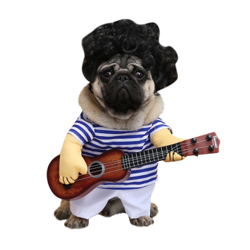 Pet Αποκριάτικη Στολή Μουσικός M 29cm