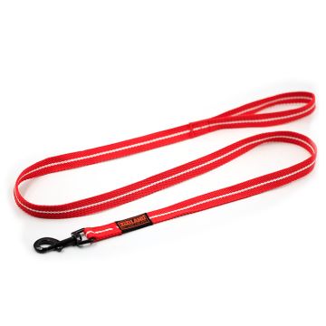 Zooland Οδηγός Cotton Webbing Κόκκινο M 2x12cm