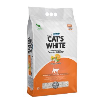 Cat's White Orange 10L