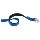 Ferplast Daytona Περιλαίμιο Σκύλου Μπλε XL 4x55-63cm